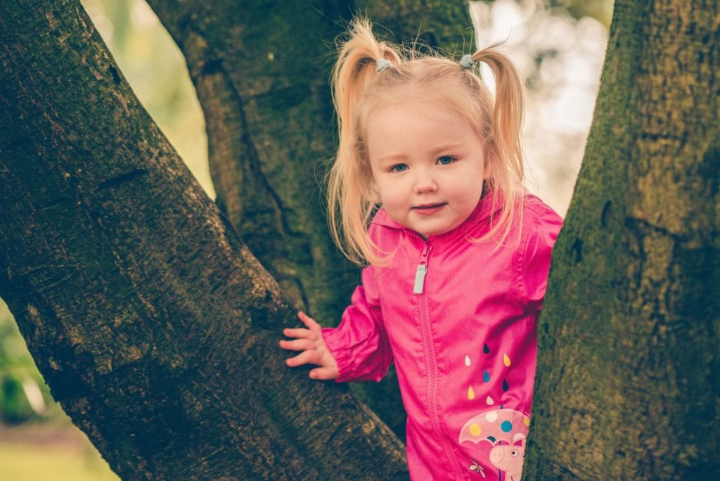 A little girl captured by a family photographer, standing in a tree wearing a pink jacket.