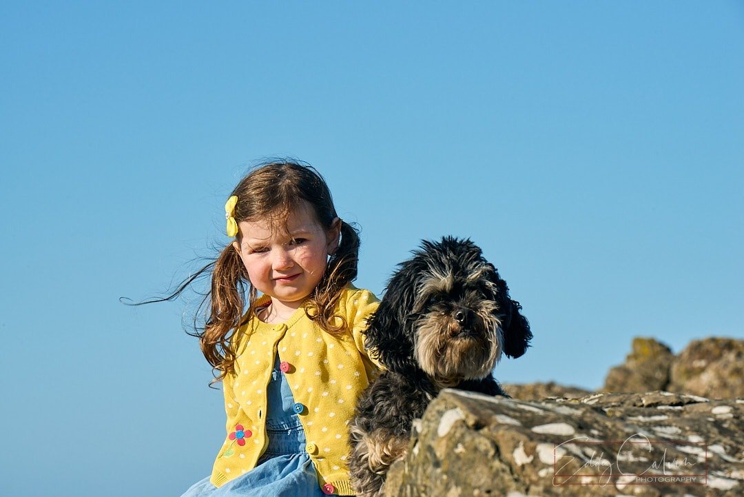 Family Photographer A young girl with long hair and a yellow cardigan sits beside a small black and white dog on a rocky surface, under a clear blue sky.